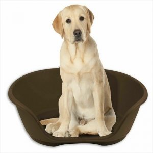 Plastic Pet Bed