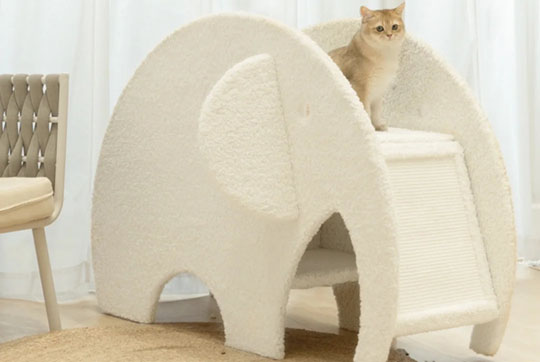 Cat Condo Tower