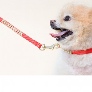 MULTIFUNCTIONAL DOG TRAINING LEADS