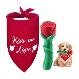 Valentines Day Dog Toy