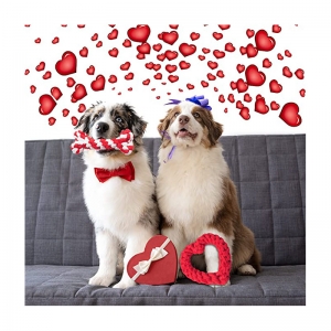 Valentines Day Dog Toy