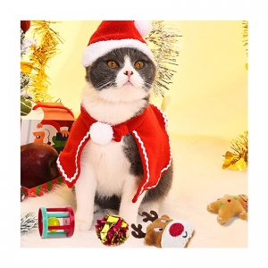 Cat Christmas Gift